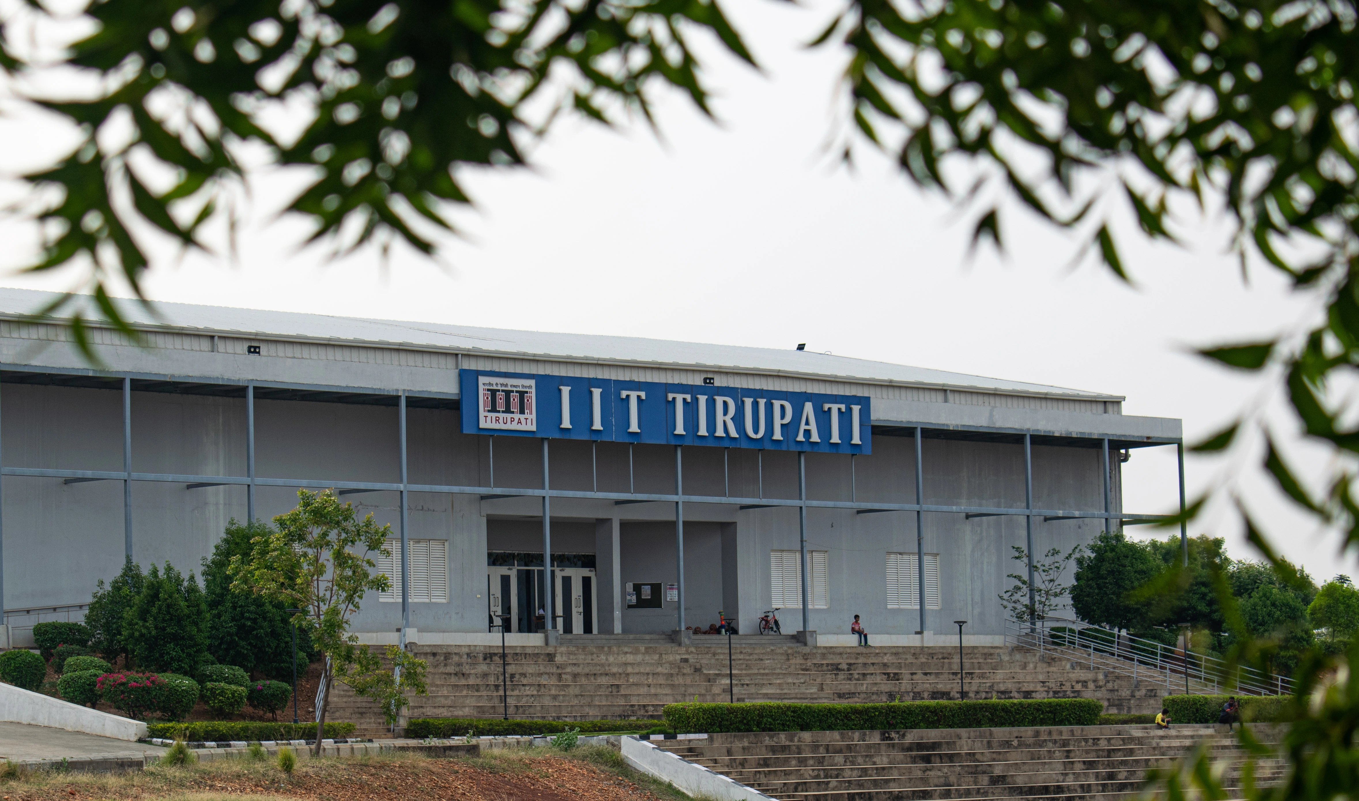 Description of your first photo