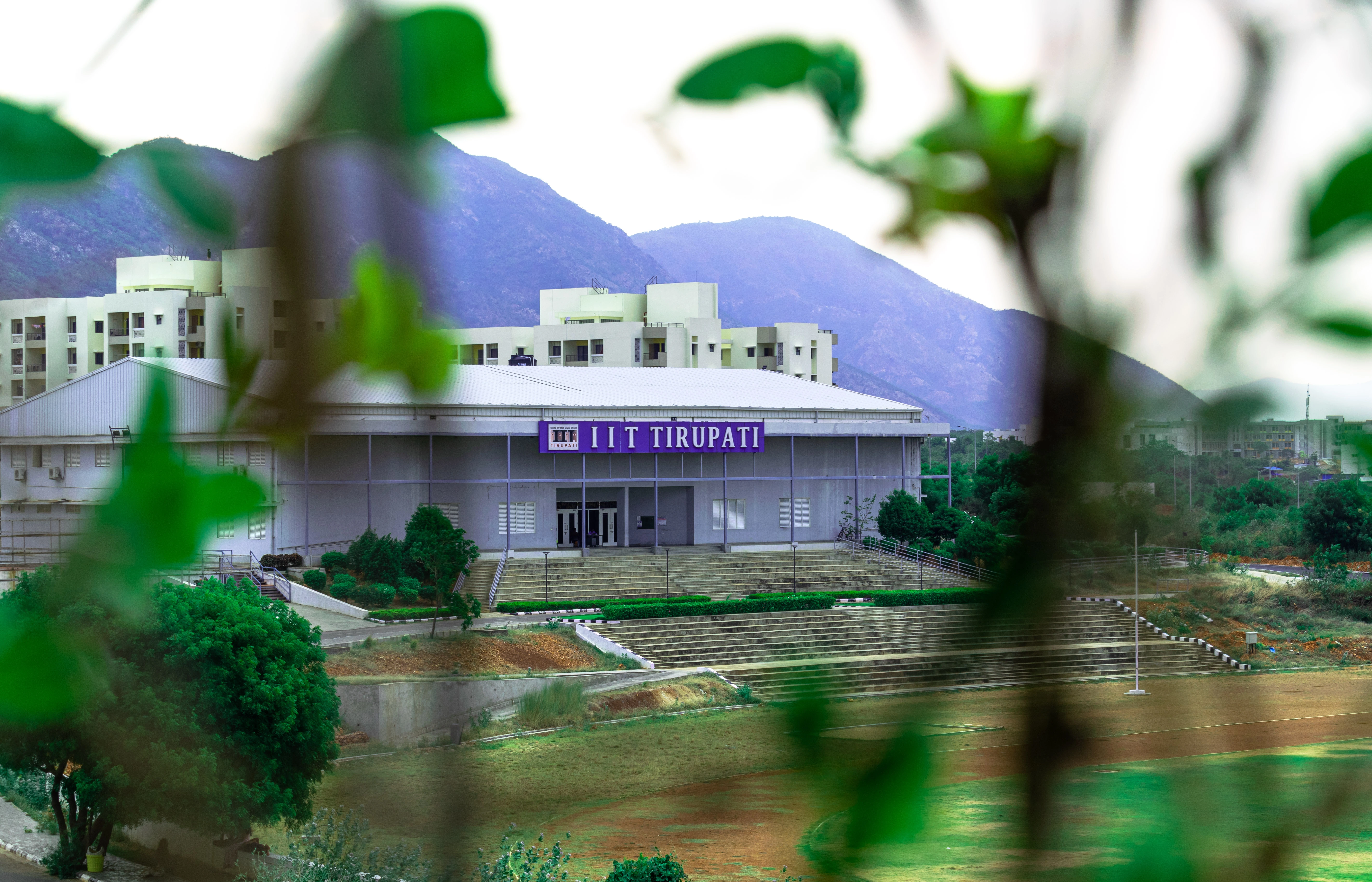 Description of your fourth photo